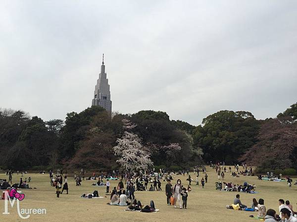 新宿御苑38.JPG