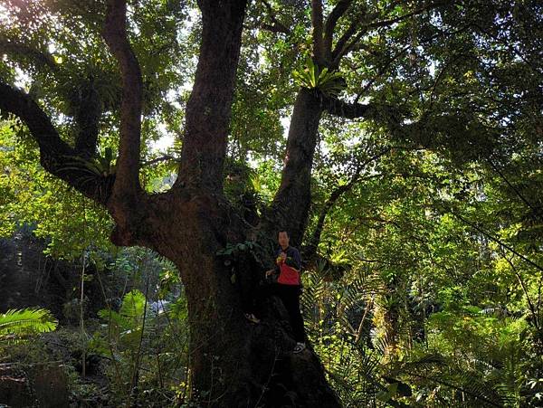 Reina媽の露營~自然曙光莊園【第83露】~2023111