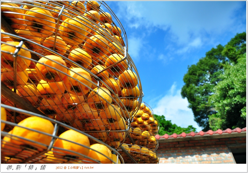2012小司麥-柿子 (6) 2012小司麥-柿子 (6)