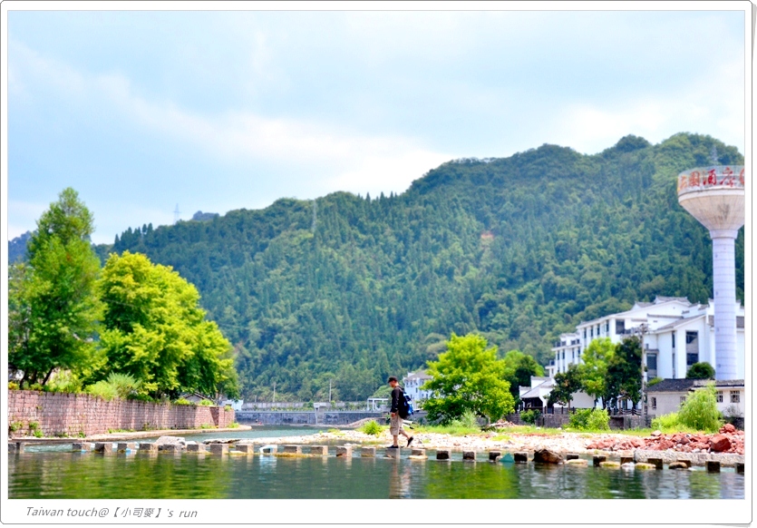 小司麥-101Z鳳凰 235 小司麥-101Z鳳凰 235