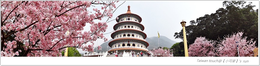 小司麥-櫻開了 小司麥-櫻開了