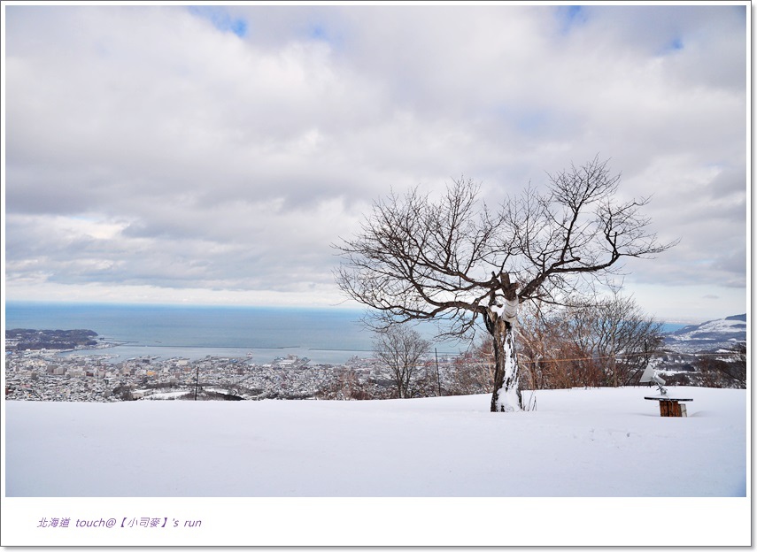 小司麥-雪景  (6)