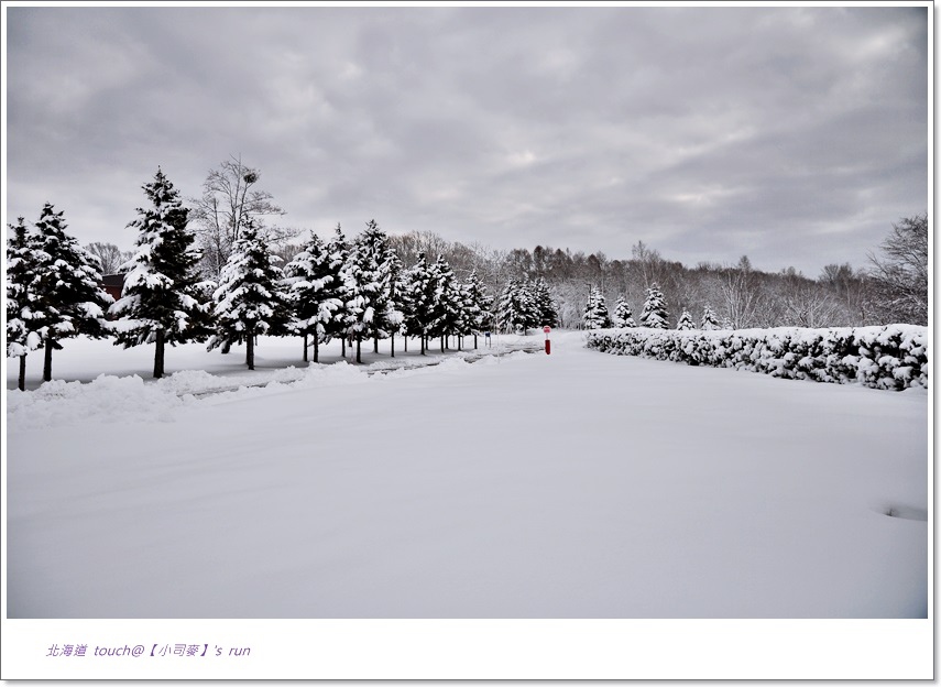 小司麥-雪景 (12) 小司麥-雪景 (12)