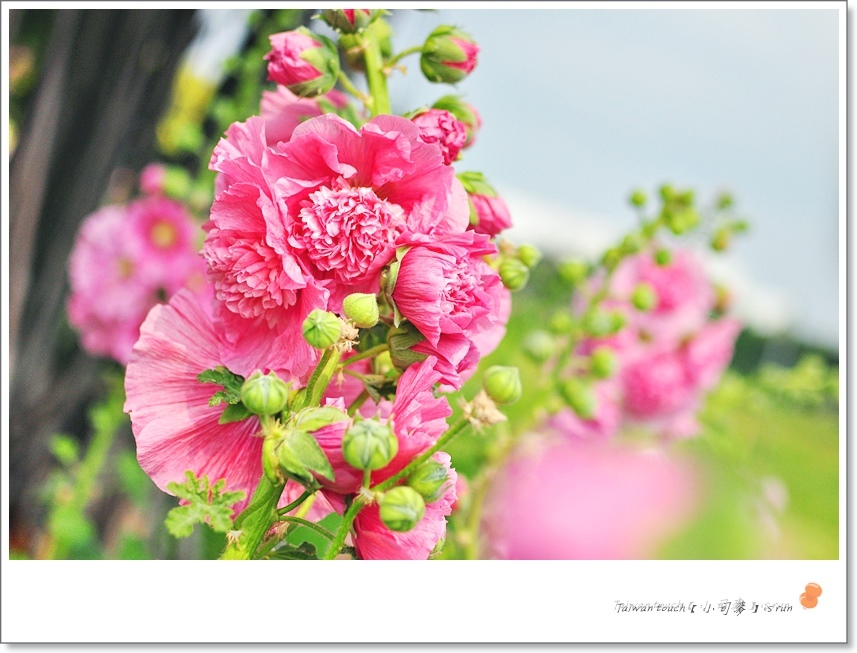 DSC_0567 DSC_0567