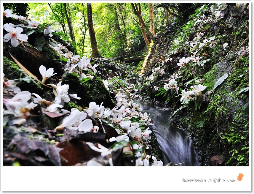 DSC_0735 DSC_0735