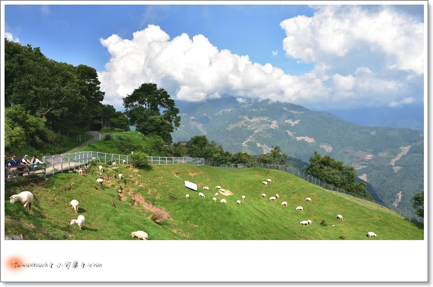清~DSC_8965 清~DSC_8965