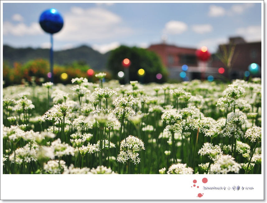 DSC_1220 DSC_1220