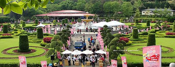 小司麥2011桐花- 80.JPG 小司麥2011桐花- 80.JPG