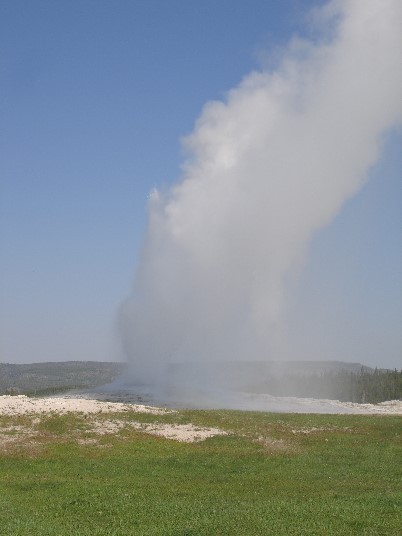 Old Faithful 5