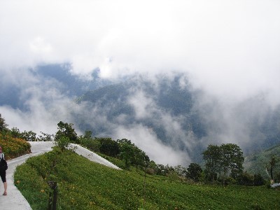 太麻里金針山‧雲霧