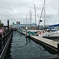 IMG_20180617_151319.jpg