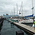 IMG_20180617_151305.jpg