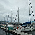 IMG_20180617_151532.jpg