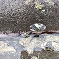 IMG_20180618_101711.jpg