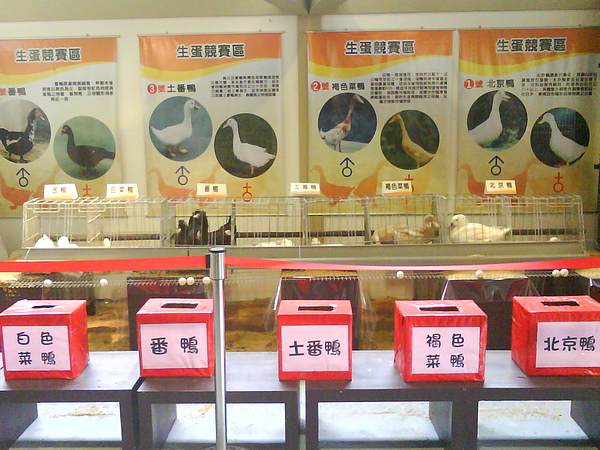 DSC01871.JPG