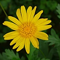 P1120391.JPG