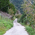 P1120403.JPG