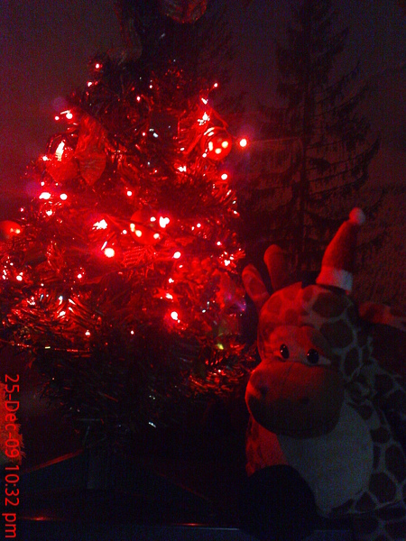 肥鹿和小圣诞树^0^
