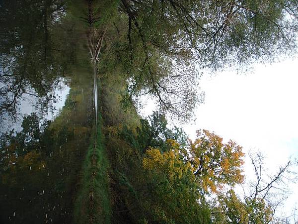 scenery on the river side