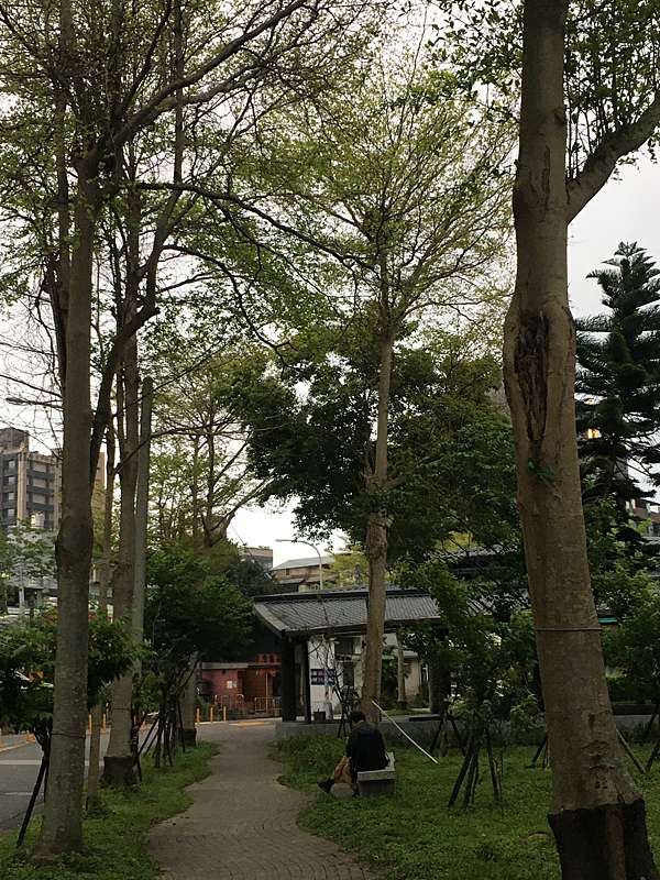 旅遊 上班族的午後休閒旅遊 河濱自行車道 麥帥一橋 成美疏散門 五分疏散門 Vera 痞客邦
