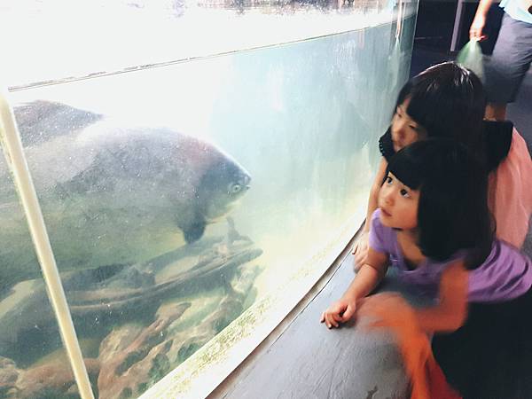 夏日木柵動物園