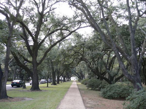 Rice University校園