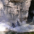 St. Louis Zoo-2