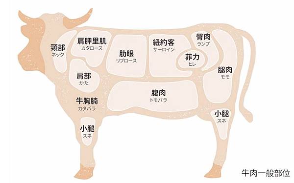 牛肉部位