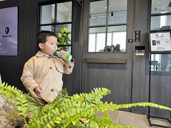 【Cycitrus杉與橙】專為孩子設計的黃金益生菌｜不卡卡好