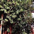 20111115-r001-022.jpg