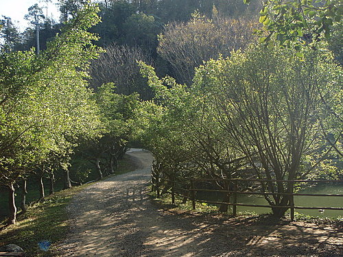 入園步道