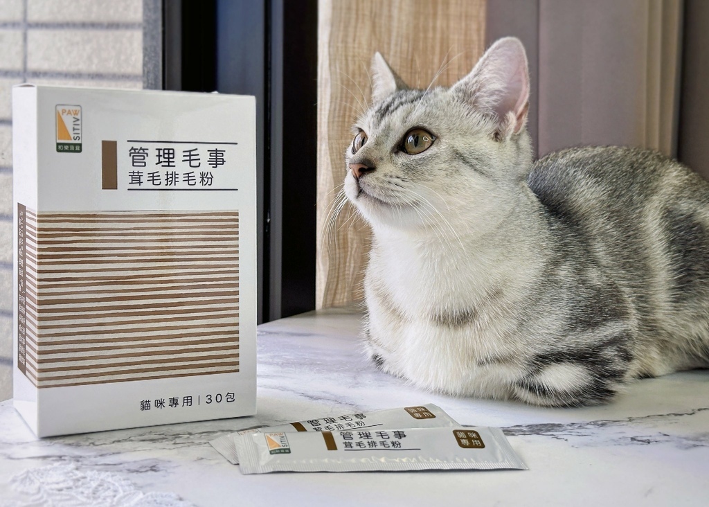 貓咪毛髮營養品分享｜Pawsitive和樂茸茸【管理毛事茸毛