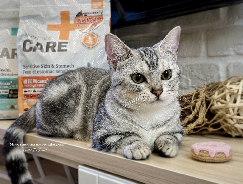 無穀低敏處方飼料開箱｜八犬寵物【Nutrience紐崔斯CA