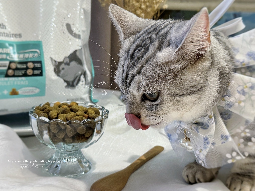 無穀低敏處方飼料開箱｜八犬寵物【Nutrience紐崔斯CA