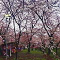 平野神社