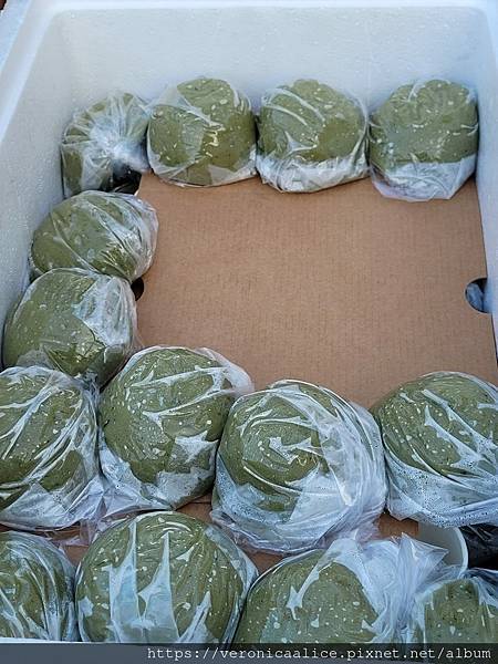 330809403_728120375516593_3388262574700860557_n 330809403_728120375516593_3388262574700860557_n