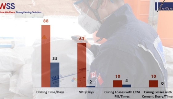 Vertechs' REALology System: A Vertechs' REALology System: A
