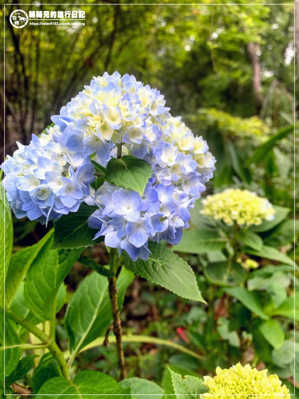 【食記】新竹縣-尖石鄉║六號花園➽隱身在山林中的餐廳