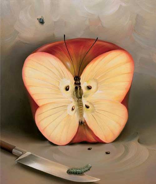 視覺圖-蝴蝶蘋果
