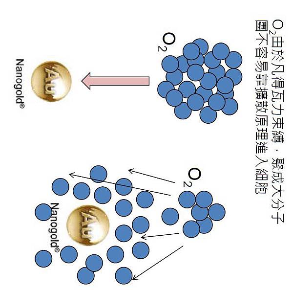 奈米黃金面膜-奈米金與養分子的關係