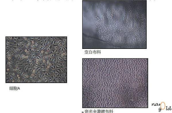 奈米黃金面膜-奈米金布料對皮膚纖維母細胞的活性影響