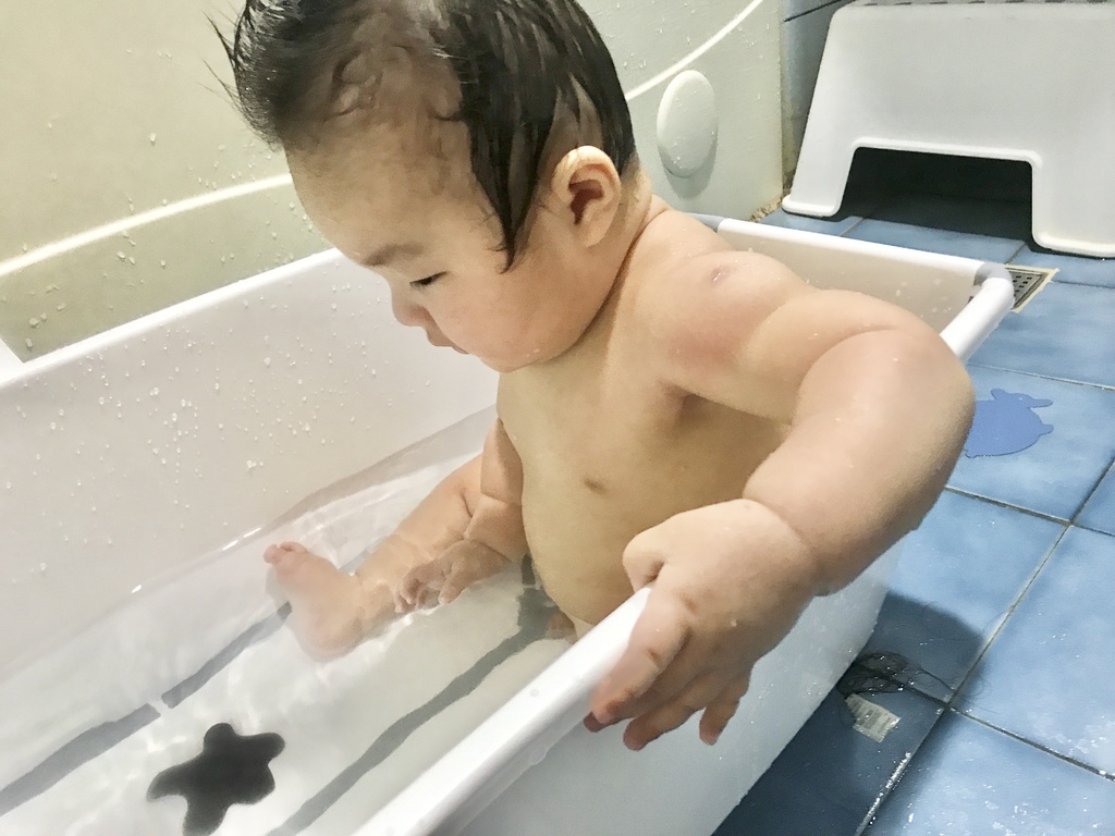 IMG_8985.jpg IMG_8985.jpg