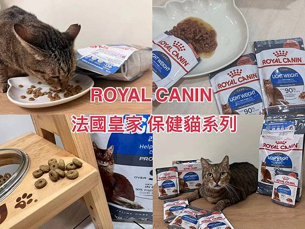 寵物品牌。ROYAL CANIN 法國皇家 保健貓系列 / 