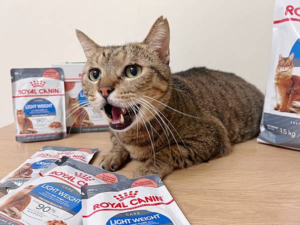 寵物品牌。ROYAL CANIN 法國皇家 保健貓系列 / 