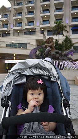 P1070567 P1070567