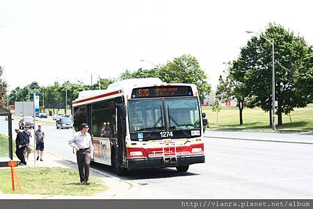 IMG_0808 IMG_0808