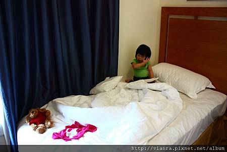 IMG_3390 IMG_3390
