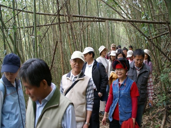 41山間旅遊-到竹林裡2.JPG