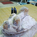 恐龍牙齒化石01.jpg