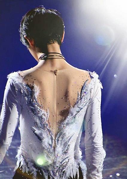 Yuzuru swan back.jpg